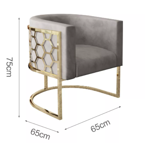 Chaise Moderne en Velours et Acier Inoxydable